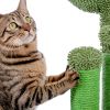 Cat Scratching Post Cactus Cat Scratcher Featuring with 3 Scratching Poles and Interactive Dangling Ball(Unable to ship on weekends, please be careful