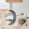 Cat Exercise Wheel for Indoor Cats, Cat Running Wheel with Carpeted Runway, Cat Sport Treadmill Wheel for Kitty's Longer Life, Fitness Weight Loss Dev