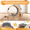 Cat Wheel 4-in-1 Cat Exercise Wheel,Upgraded Cat Wheel Exerciser for Indoor Cats,Large Cat Treadmill,Cat Running Wheel with Silent Wheel,Cat Walking W