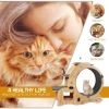 Cat Wheel 4-in-1 Cat Exercise Wheel,Upgraded Cat Wheel Exerciser for Indoor Cats,Large Cat Treadmill,Cat Running Wheel with Silent Wheel,Cat Walking W
