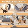Cat Wheel 4-in-1 Cat Exercise Wheel,Upgraded Cat Wheel Exerciser for Indoor Cats,Large Cat Treadmill,Cat Running Wheel with Silent Wheel,Cat Walking W