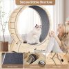 Cat Exercise Wheel for Indoor Cats, Cat Running Wheel with Carpeted Runway, Cat Sport Treadmill Wheel for Kitty's Longer Life, Fitness Weight Loss Dev