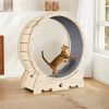 Cat Exercise Wheel for Indoor Cats, Cat Running Wheel with Carpeted Runway, Cat Sport Treadmill Wheel for Kitty's Longer Life, Fitness Weight Loss Dev
