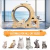 Cat Wheel 4-in-1 Cat Exercise Wheel,Upgraded Cat Wheel Exerciser for Indoor Cats,Large Cat Treadmill,Cat Running Wheel with Silent Wheel,Cat Walking W